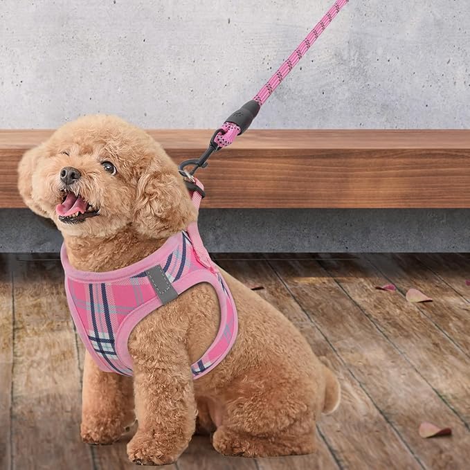 Athena Collection Small Dog Harness with 5 ft Leash, Step-in Dog Harness Leash Set Small No Pull Dog Vest Harness with Reflective Strips Adjustable Velcro, Easy Walk Puppy Harness, Pink
