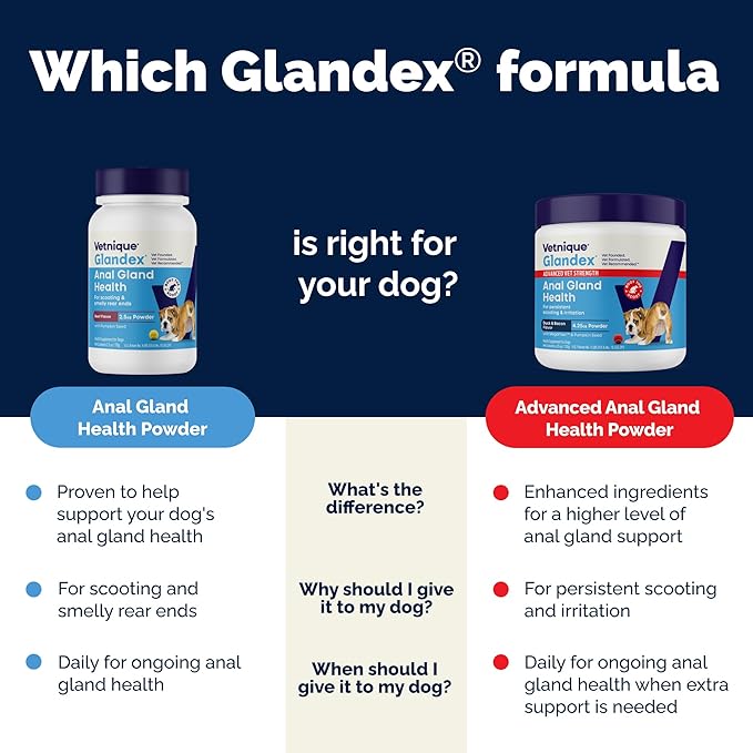 Vetnique Glandex Dog Fiber Supplement Powder for Anal Glands with Pumpkin, Digestive Enzymes & Probiotics - Vet Recommended (Regular or Advanced Strength) - Boot The Scoot (4.0 oz, Salmon)