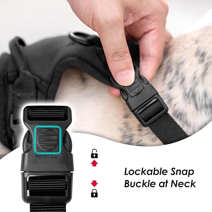 No Pull Dog Harness, Puppy Vest with Front Clip for Small Medium Large Sized Dog (Black,L)