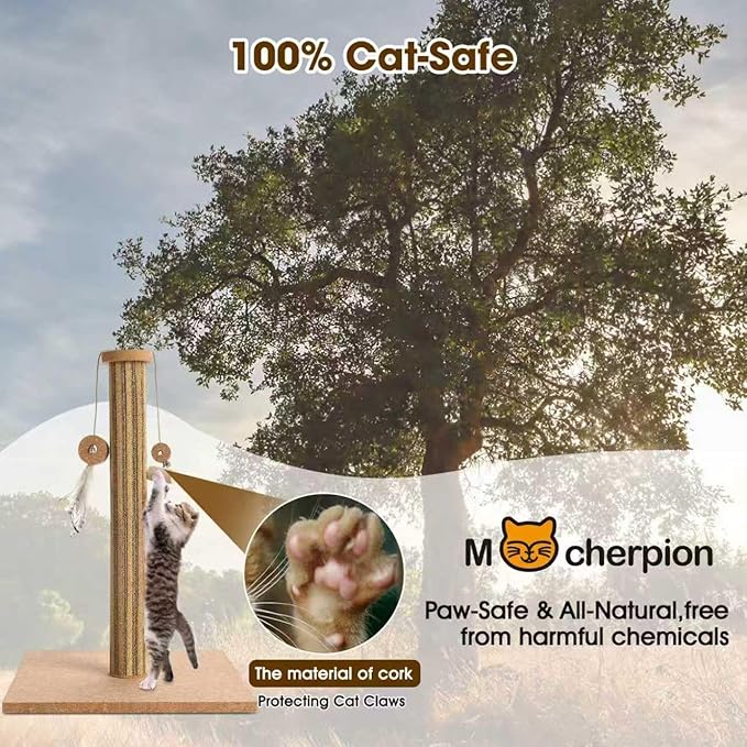 Natural Cork Cat Scratching Post with Feather Toy, 14.2 inch Stable Base, Eco-Friendly Scratch-Safe & Noise-Reducing for Claw Health, Fits Home Decor