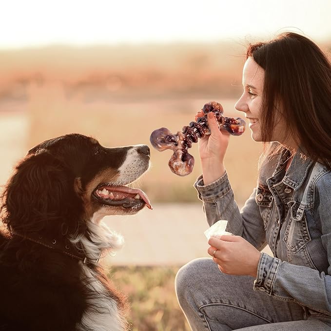 6-Pack Heavy Duty Nylon Dog Chew Toys for Medium Large Dogs Bacon Flavor |Pure Nylon for Aggressive Chewers |Reduces Boredom |Varied Shapes for Extended Engagement | Designed for 25-80 lbs Breed Sizes