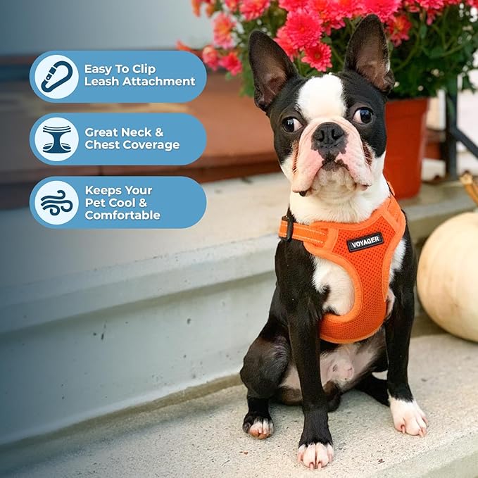 Best Pet Supplies Voyager Mesh Dog Breathable Harness Reflective Stitching, All Weather Adjustable for Walking Training, or Running - Heavy Duty & Durable, Harness Leash Set (Orange), XL