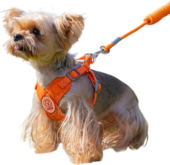 Dog Harness with Leash Set, Puppy Soft Vest No Choke No Pull, Adjustable Neck and Chest, Lightweight Harness and Anti-Twist Pet Leash Combo for Small to Medium Dogs (Orange, S-Small)