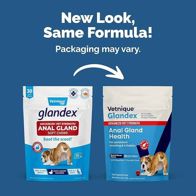 Vetnique Glandex Anal Gland Health Soft Chew Treats with Pumpkin for Dogs Digestive Enzymes, Probiotics Fiber Supplement for Dogs Boot The Scoot (Advanced Strength Duck/Bacon Chews (Veg), 30 Count)