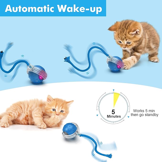 Interactive Cat Ball Toy for Indoor Cats – Fast Rolling on Carpets, Motion Activated with Chirping Sounds, Enrichment Play for Active & Bored Cats
