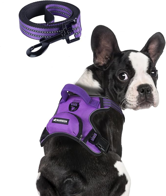 BUMBIN Dog Harness for Large Dogs, No Pull Adjustable No Choke Pet Vest with Dog Leash Fit Smart Reflective Pet Walking Harness for Training Easy Control Soft Handle Purple XL