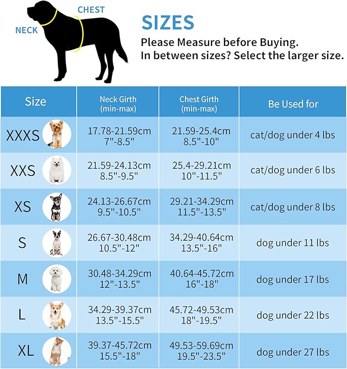 AIITLE Escape Proof Dog Harness - Step in Adjustable Dog Harness No Choke Over with Breathable Mesh and Quick-Release Buckle for Summer- Outdoor Walking, Camping, Training for Medium Dogs Blue XL