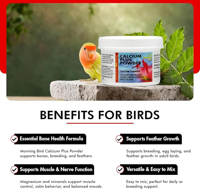 Morning Bird Calcium Plus Powder for Birds 6 oz – Calcium Supplement with Vitamin & Protein Powder – Supports Bone Health, Muscle Function & Digestive Balance – Easy-to-Mix Calcium Formula