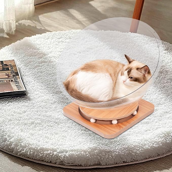 Doppy Space Capsule Cat Bed, Indoor Small Pets Kitten Sleeping Nest Pet Supplies Transparent Round Kitten House Activity Centre Bed Toy (Clear, S)