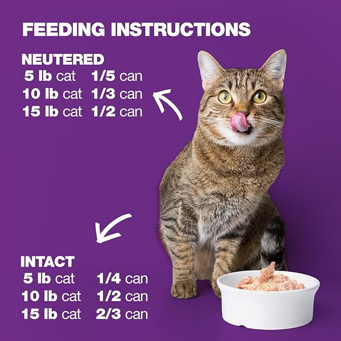 Natural Code Limited Ingredient Wet Cat Food Topper, High Protein, Low Fat, Additive-Free, Non-GMO, No Artificial Colors or Flavors, Tuna, Lamb & Potato in Aspic for Adult Cats, 24 Pack of 3oz Cans