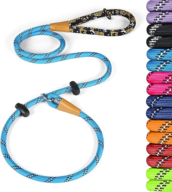 lynxking Slip Lead Dog Leash Reflective, Heavy Duty Comfortable Strong Rope for Large Medium Small Dogs No Pull Pet Training (Light Blue, Small 3/8in x 6ft-Slip Lead)