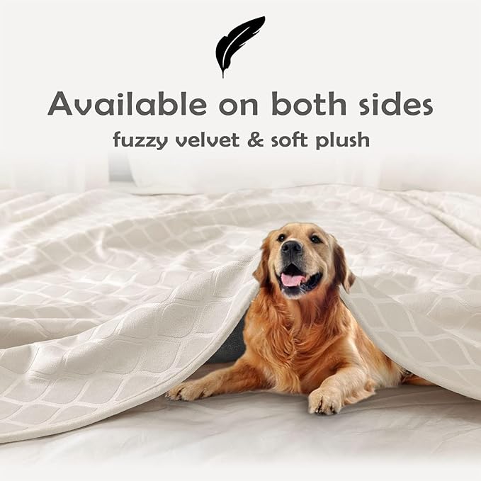 fuguitex Waterproof Dog Blanket Bed Cover Dog Crystal Velvet Moroccan Fuzzy Cozy Plush Pet Blanket Throw Blanket for Couch Sofa(40 * 60 inch, Cream+Grey)