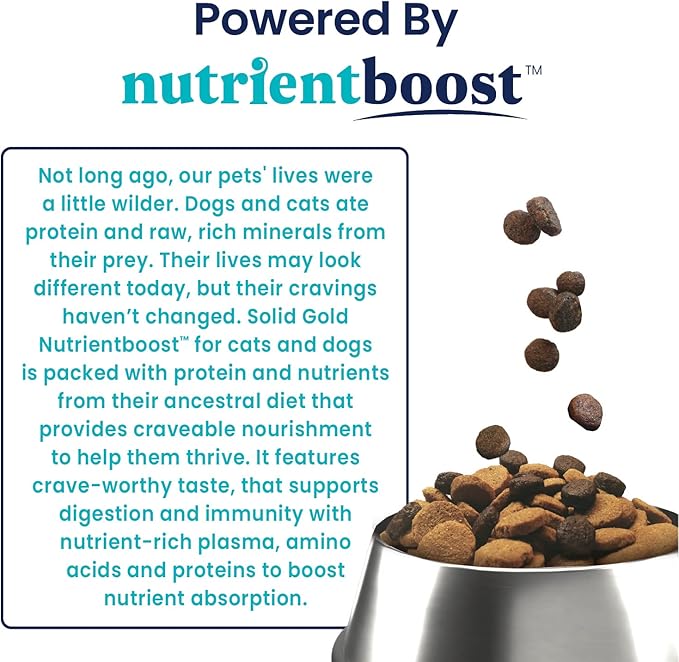 Solid Gold Dry Dog Food for Adult & Senior Dogs - Made with Real Lamb & Brown Rice - NutrientBoost Hund-N-Flocken Healthy Dog Food for Weight Management & Digestive Support - 4 LB Bag
