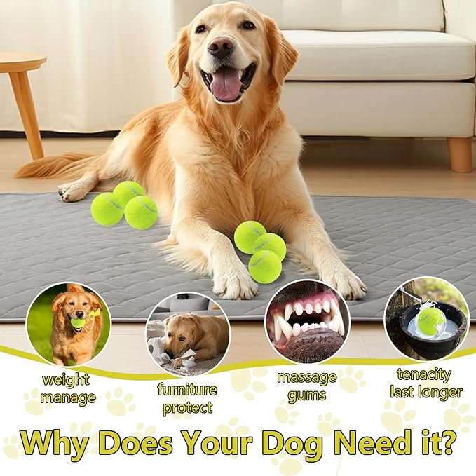 Swingers Squeaky Tennis Balls for Dog,2.5 inch Training Tennis Balls,Exercise Ball for Pet Dog with Mesh Carry Bag Easy to Transport (Multicolor, 24 Pack)
