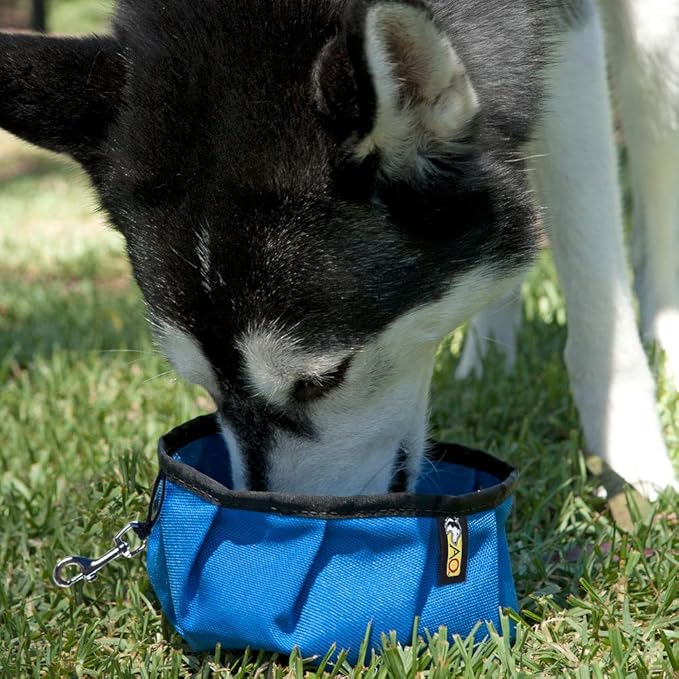 Portable Water Bowl for Dogs - Hiking, Running, and Walking - Free Monogram - Handmade in The USA! (Blue)