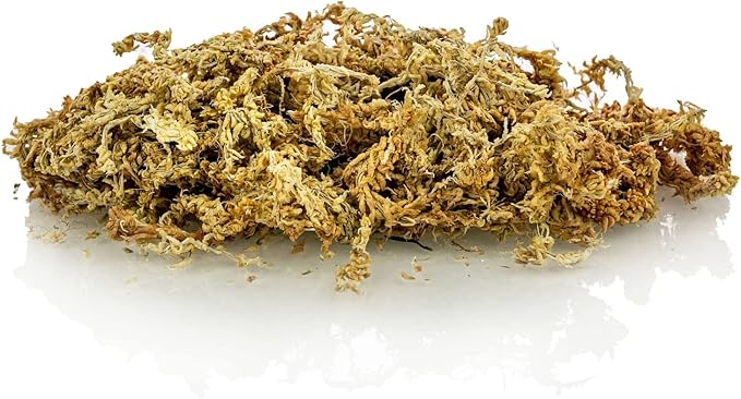 Premium Grade Sphagnum Moss by Gardenera - 20 Quart - Organic Hand Mixed New Zealand Long Fibered Sphagnum Moss Orchid - 4 Bags of 5 Quart