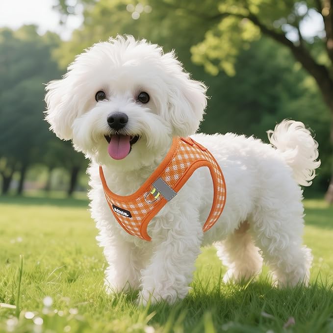 AIITLE Plaid Print Dog Harness Set – Lightweight, Reflective & Adjustable Vest Harness for Puppies – Perfect for Boston Terriers, Maltese & Indoor/Outdoor Use (XS, Orange)