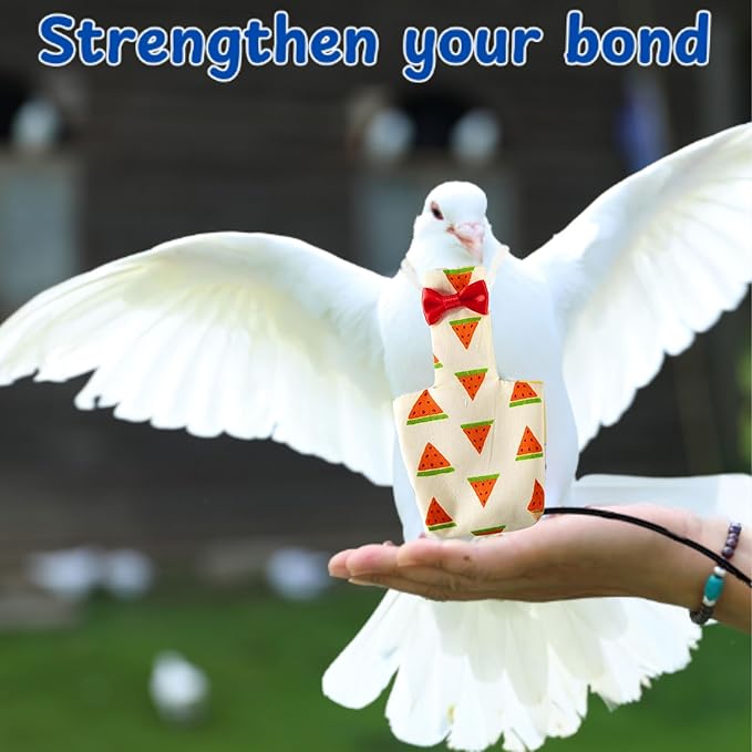 Birds Pigeon Diaper Pants Harness and Leash, Bird Diapers for Pigeons and Leash Harness, Diapers for Birds Cockatiel Parrot, Parakeet Diaper, Pigeon Pants, Parrot Clothes for Bird (XL-Watermelon)