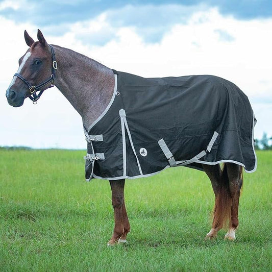 Jeffers Economy 600 Denier Standard Neck Horse Sheet 0 Gram Polyfill, 69 Inch – Waterproof Lightweight Turnout Blanket Sheet for Horses - Stable, Barn, Pasture, Travel, Adjustable Fit - Black Grey