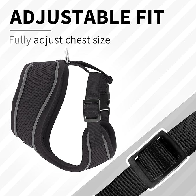 AIITLE Breathable Dog Harness Small Sized Dog, Comfortable Adjustable Mesh Vest with Quick-Release Buckle, Reflective Safety Strips – Perfect for Poodles, Teddy Dogs (M, Black)