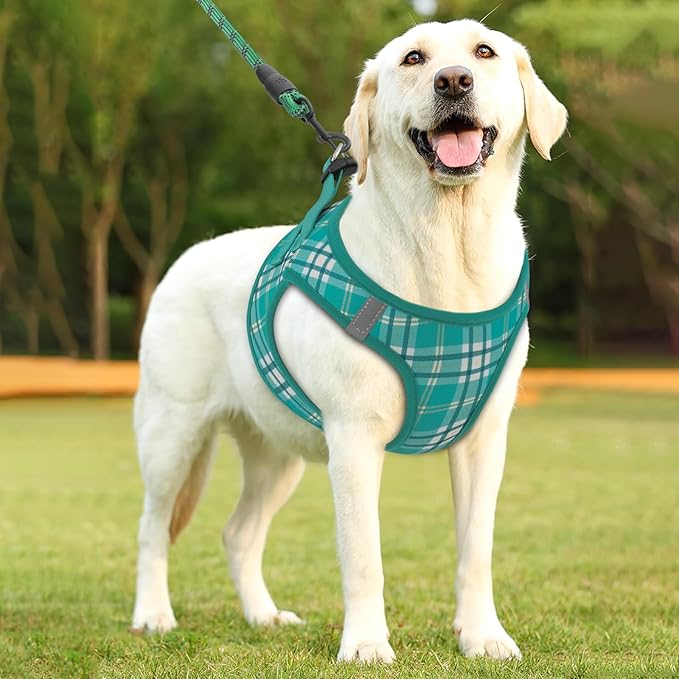 Athena Collection Step-in Dog Harness with 5 ft Leash, Large Dog Harness Leash Set Large No Pull Dog Vest Harness with Reflective Strips Adjustable Velcro, Easy Walk Dog Harness, Green
