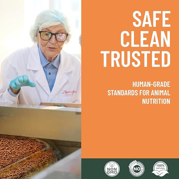 30LB Non-GMO Dried Black Soldier Fly Larvae for Chicken – 85X More Calcium Grubs Than Mealworms for Strong Eggshells & Healthy Growth - High Protein for Chickens, Birds, Ducks, Geese & Pets