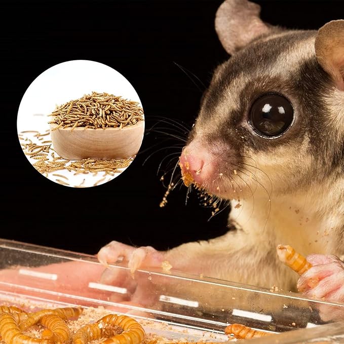 High-Protein Dried Mealworms 1Lb for Birds, Chickens, Turtles, Fish, Hamsters and Hedgehogs, Non-GMO and Chemical Free, All Natural Animal Feed