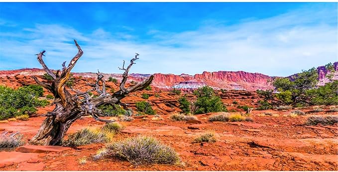 AWERT 30x18 inches Reptile Habitat Background Blue Sky Oasis Orange Desert Terrarium Background