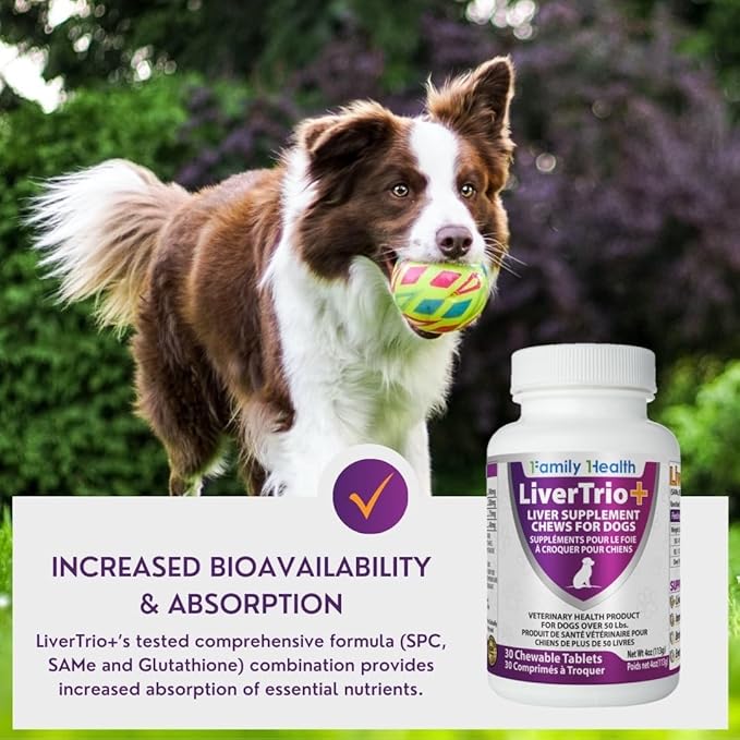 Comprehensive Liver Support Supplement for Large Dogs. Flavorful Chewable Tablets Combining Same, SPC, Silybin A+B, + Glutathione 30Ct (Large)