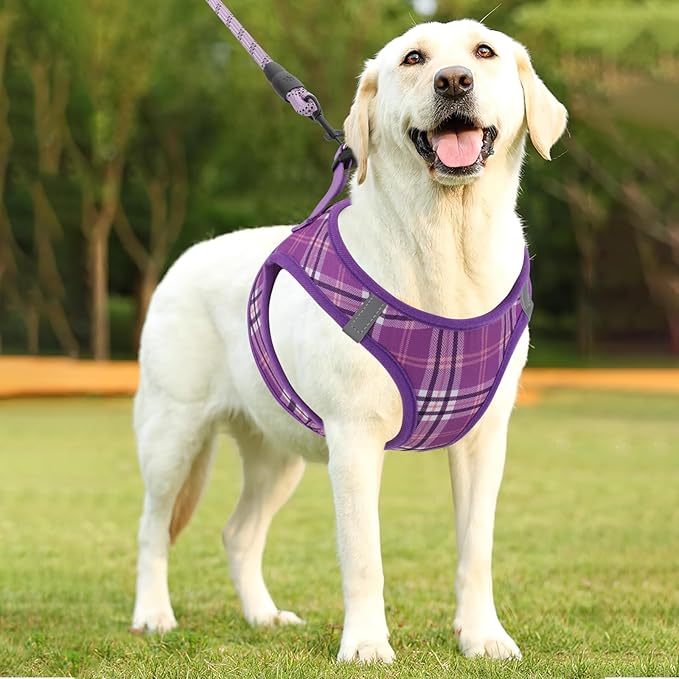 Athena Collection Step-in Dog Harness with 5 ft Leash, Medium Dog Harness Leash Set Large No Pull Dog Vest Harness with Reflective Strips Adjustable Velcro, Easy Walk Dog Harness, Purple