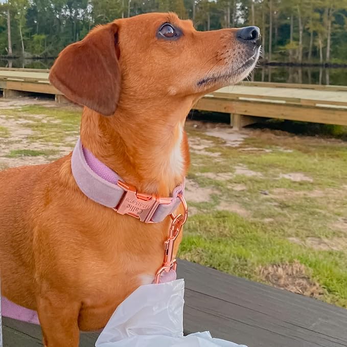 PETDURO Custom Dog Collar Personalized with Name Engraved Quick Release Rose Gold Metal Buckle for Large Medium Small Girl Dogs - Dog Leash and Bow Tie Available - Soft Comfy Velvet (Purple, XS)