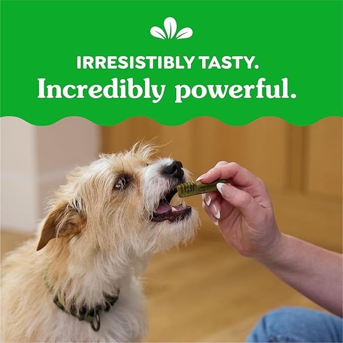Greenies Teenie Natural Dog Dental Treats, Sweet Potato Flavor, 12 oz. Pouch (43 Treats)