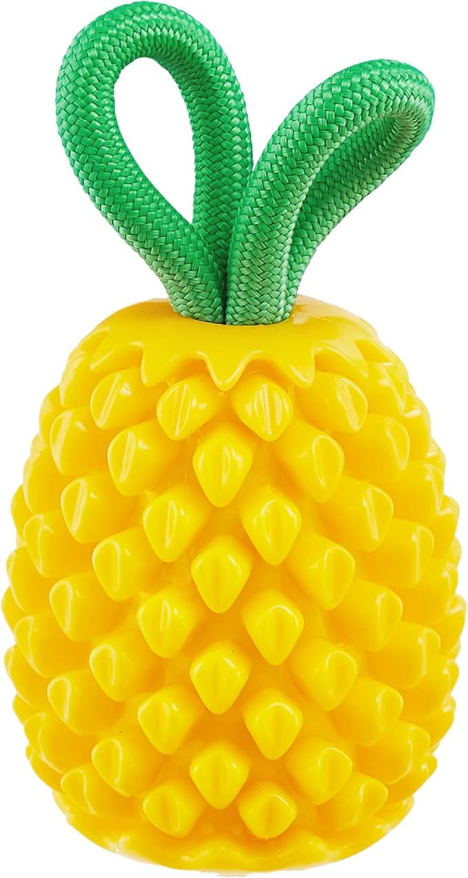 Outward Hound by Planet Dog Dental Pineapple Dental Chew Toy and Interactive Treat Stuffer Durable Dog Toy Stuffable Dog Toy, Yellow