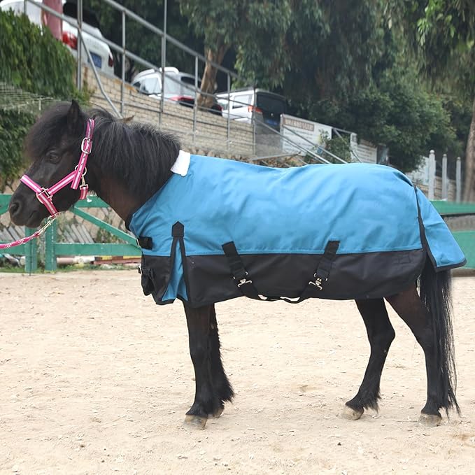 Mini Horse/Pony/Foal/Miniature Size 36"-51" Lightweight Waterproof & Breathable 1200 Denier Turnout Blanket with No Filling Peacockblue 42"
