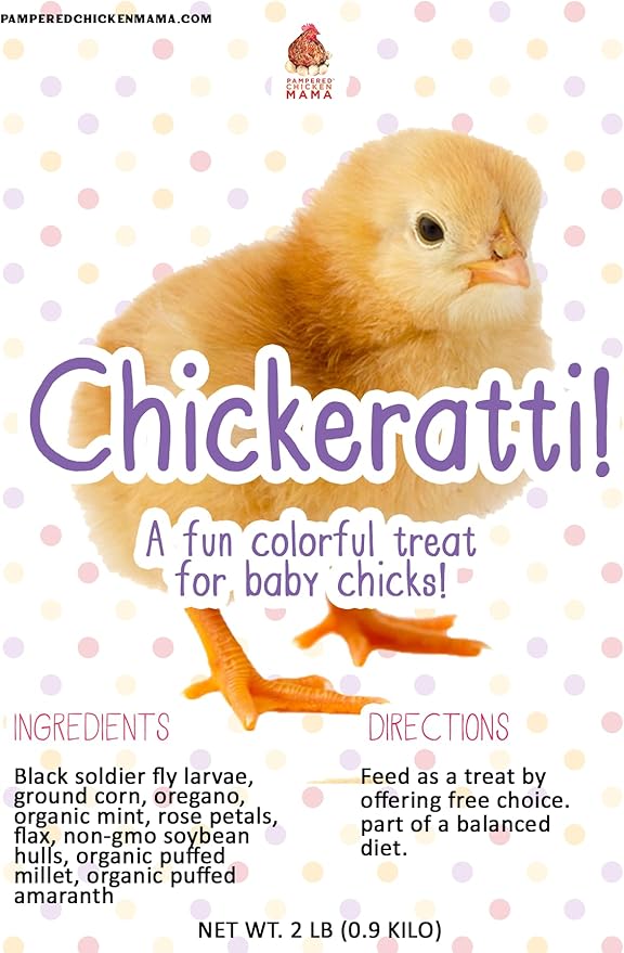 Chickeratti Baby Chick Feed Treat (4 POUNDS) | Chicken Supplies With Food, Toys, Treats With Grubs, Coop Accessories for Brooder & Feeder (1)