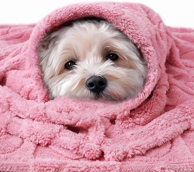 Luciphia Small Dog Blanket Washable Pet Bed Cover Soft Fluffy Puppy Blanket with Premium Fleece 300GSM Cozy Calming Cat Blankets for Indoor Cats Pink 30x20 inch