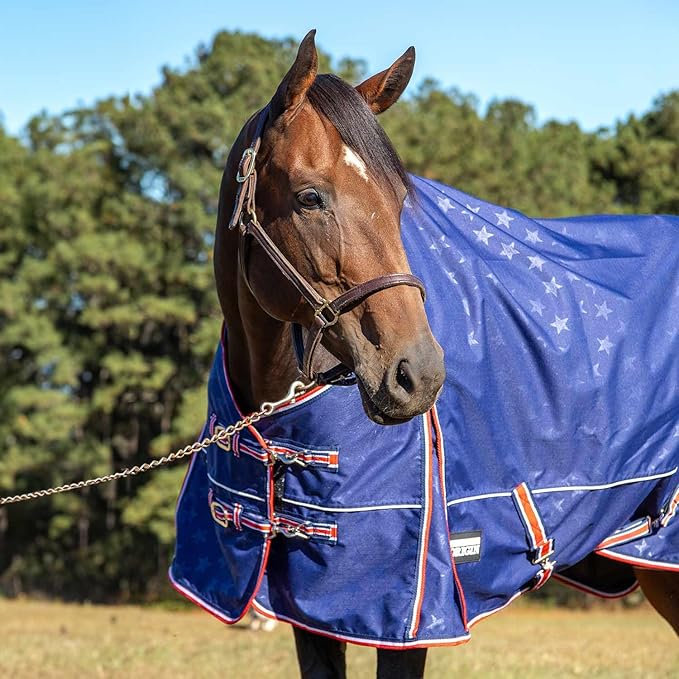 Jeffers Poplar Head 600 Denier Turnout Sheet for Horses, 0g Polyfill, 72"- Waterproof Lightweight Horse Blanket, Adjustable Chest Belly Straps, Tail Flap, Stable Blanket, Navy Color - Allegiance
