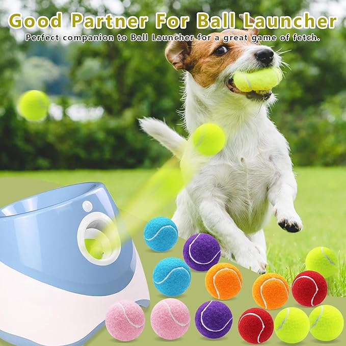 Magicorange Small Tennis Balls, 20 Pack 2 inch Tennis Balls for Dogs, Colorful Easy Catching Pet Dog Playing Ball with Mesh Bag for Easy Transport(Multicolor, 2 inch)