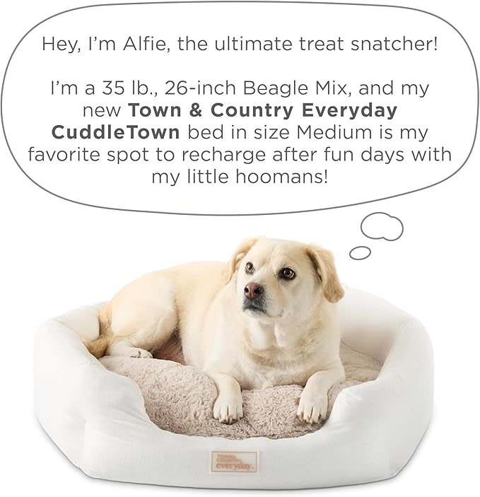 TOWN & COUNTRY EVERYDAY CuddleTown Faux Linen Comfy Cozy Cuddler Pet Bed, Supportive & Calming Egg Crate Foam, Non-Slip Bottom, Machine Washable Cover, Cream, Medium 28"x26"x8"