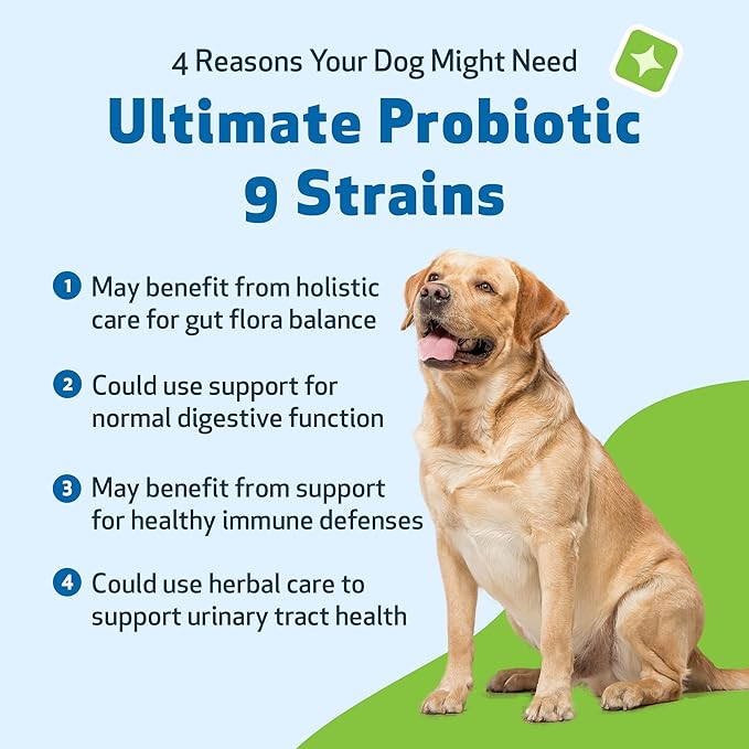 Pet Wellbeing Ultimate Probiotic 9 Strains for Dogs & Cats - Supports The Gut Microbiome and Digestion, Immune System Care, Urinary Tract Health, FOS, 2.5 Billion CFU - 11.29 oz (320 g) Powder