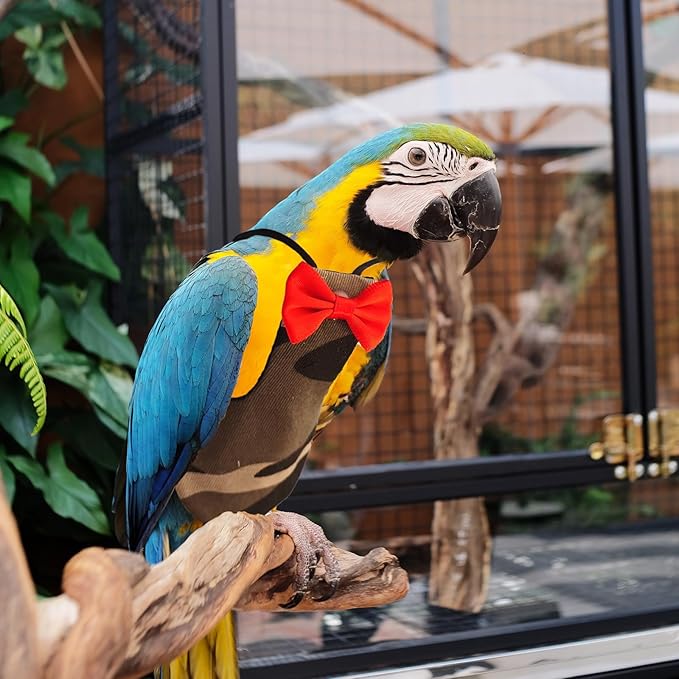 Bird Diaper Washable Reusable Parrot Flight Suit Nappies Protective Breathable Parrot Nappy Clothes for Parakeet, Macaw, Budgie, Canary, Cockatiel (Camouflage, Small)