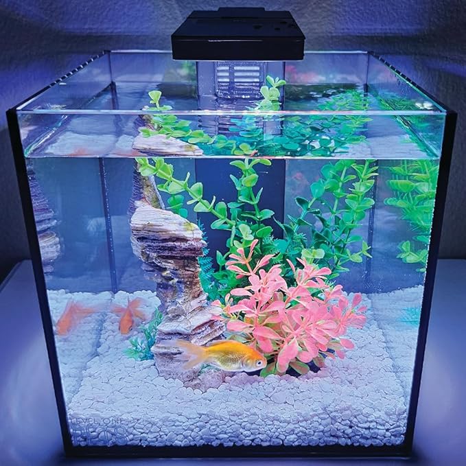 Level One Pets 3 Gallon Mini Betta, Small Fish Aquarium Kit - Includes Duo 2 in 1 Submersible Filter with LED Light