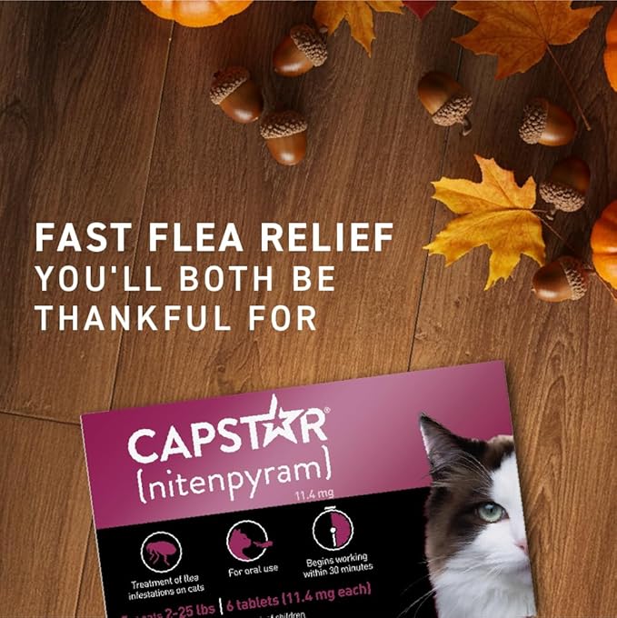 Capstar (nitenpyram) Cat Flea Treatment, Fast-Acting Oral Flea Treatment for Cats 2-25 lbs, Vet-Recommended Medication Tablets Start Killing in 30 Minutes, 6 Doses