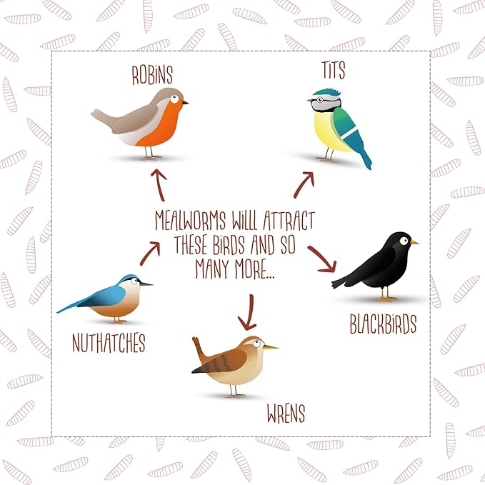 Chubby Mealworms 10Lb Bulk Dried Mealworms for Chickens, Birds, Ducks and Much More