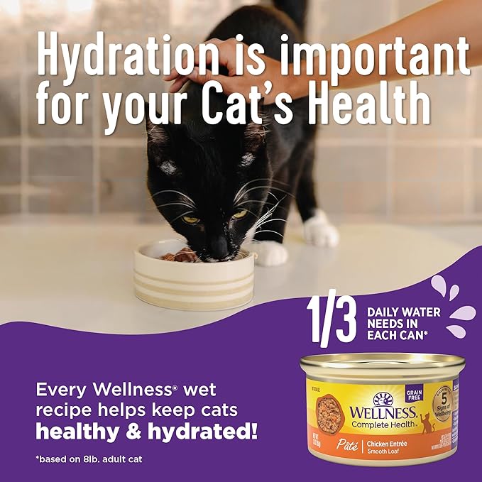 Wellness Complete Health Pate Adult Wet Cat Food, Natural, Protein-Rich, Grain Free, 3 Ounce, 24 Pack, (Beef & Chicken)