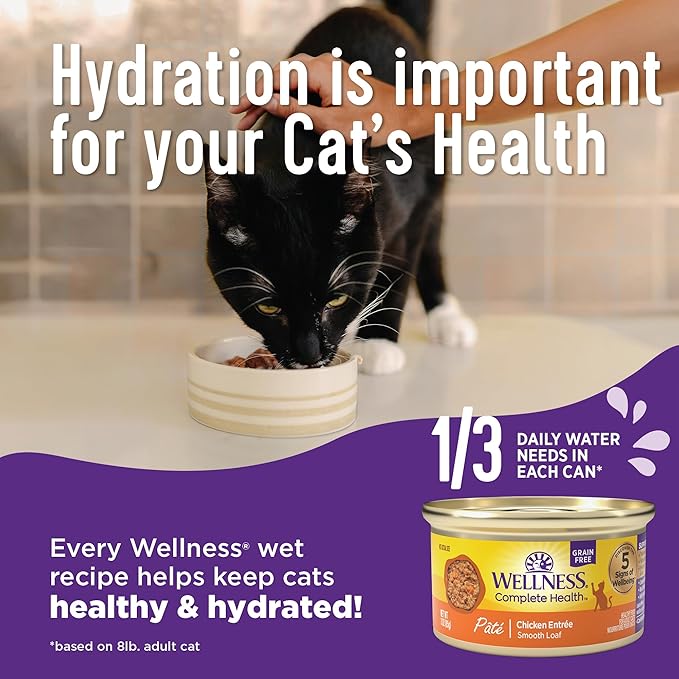 Wellness Complete Health Natural Grain Free Wet Canned Cat Food, Chicken & Lobster Pate, 5-Ounce Can (Pack of 24)