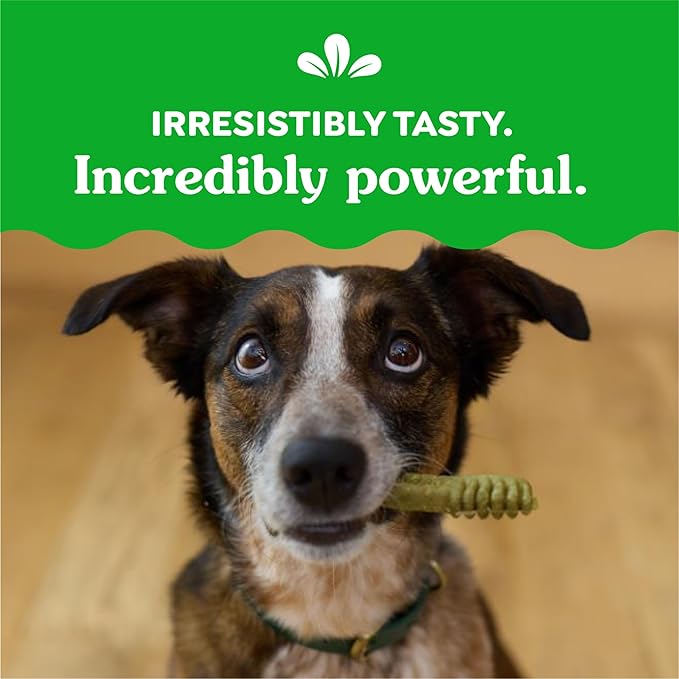 Greenies Original Regular Dental Dog Treats, (4) 18 ct Packs (72 Treats Total)