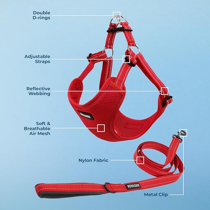 Best Pet Supplies Voyager Mesh Dog Breathable Harness Reflective Stitching, All Weather Adjustable for Walking Training, or Running - Heavy Duty & Durable, Harness Leash Set (Red), XS
