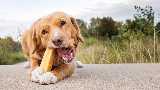 peaksNpaws Yak Cheese, High Protein, Himalayan Dogs Chews, Natural Dog Treats, Lactose Free, Long Lasting Dogs Treat for Aggressive Chewers Under 35 lbs 3 Medium Chew Sticks