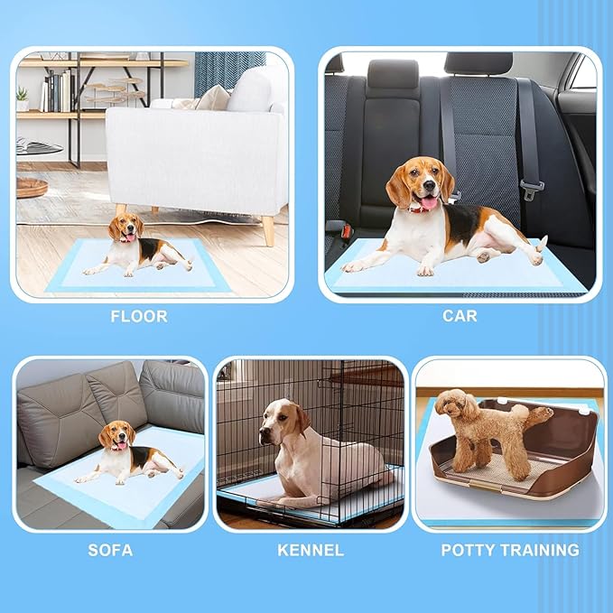 XXXXL 40 Count Dog Cat Puppy Pee Pads,40"x40" Super Absorbent Puppy Pads Leakproof Quick-Dry Disposable Pet Pads for Puppies, Dogs Cats Indoor, Outdoor, Housebreaking Use